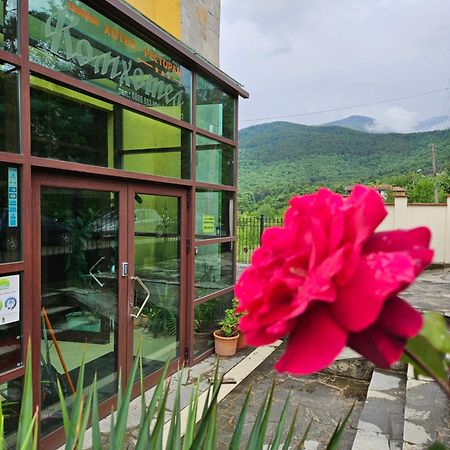 Family Hotel Komhotel Berkovitsa Ngoại thất bức ảnh